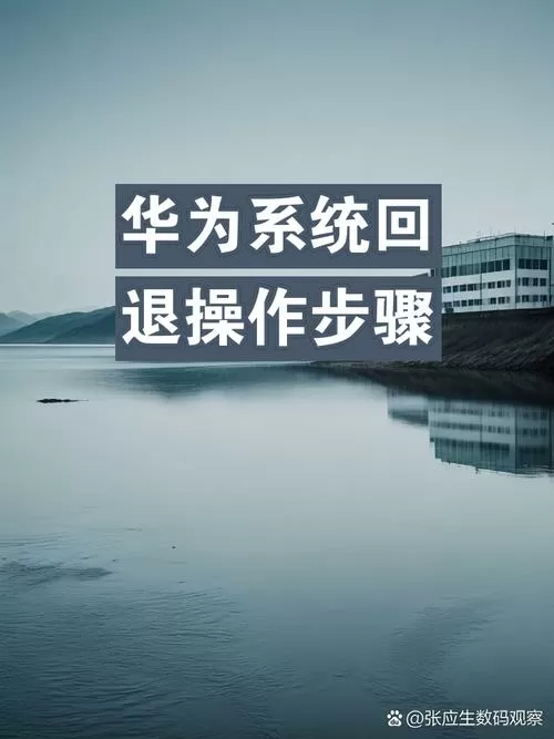 华为皮套模式强制退出