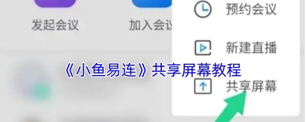 小鱼易连在手机上怎么看回放