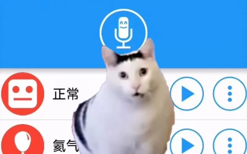 模拟猫的叫声的软件