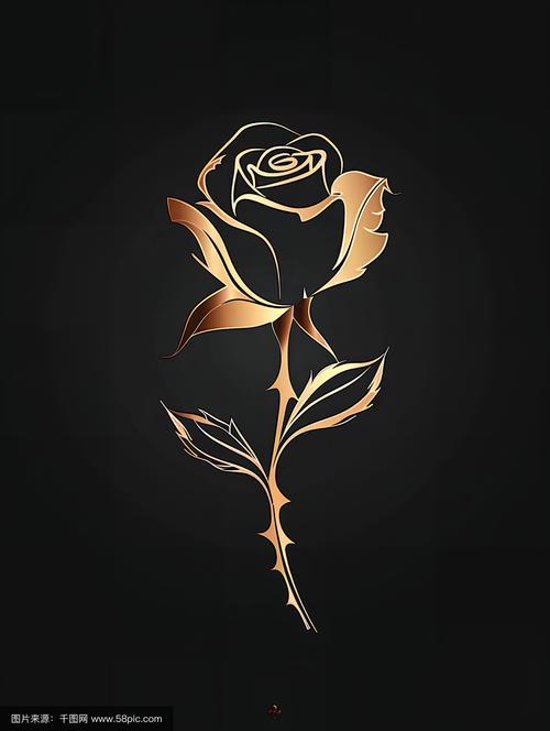 玫瑰花图片壁纸