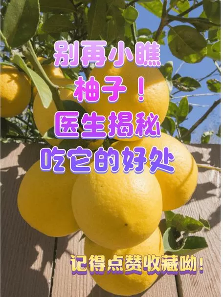 柚子蒸熟了能吃吗