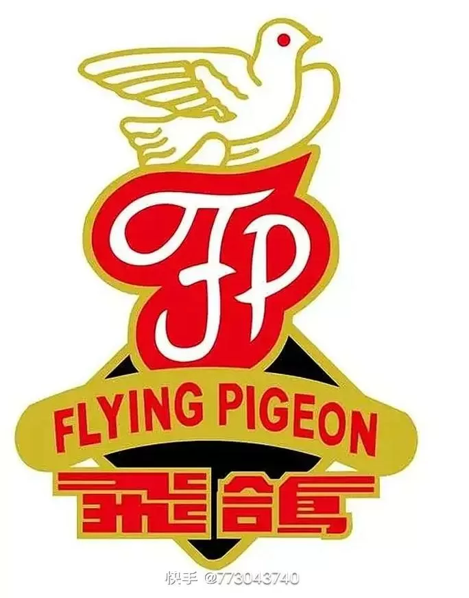 手机上下载的飞鸽怎么用