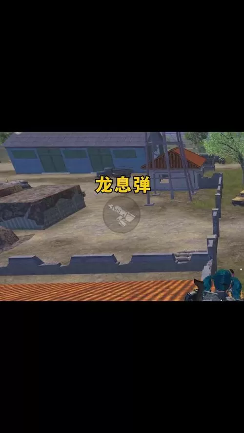 和平精英怎么设置自动换子弹模式视频