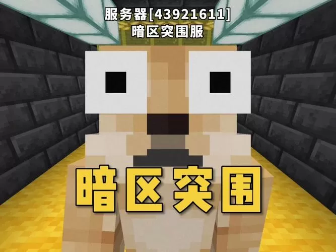 我的世界网易版暗区突围服务器截图