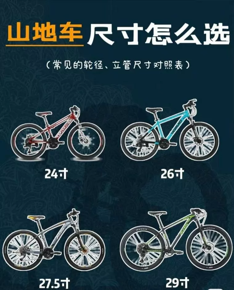 自行车xs是26寸还是24寸
