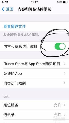 苹果手机图标变成灰色怎么关闭