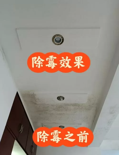 卧室墙壁发霉怎么办