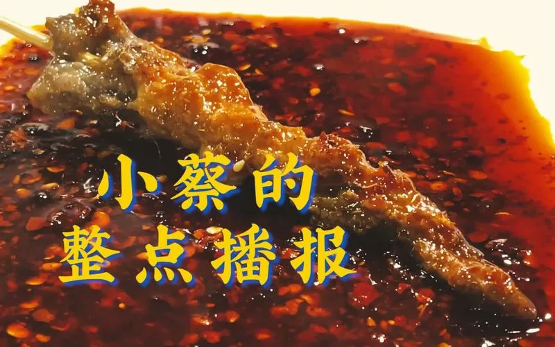 小蔡的vlog最新视频缩略图