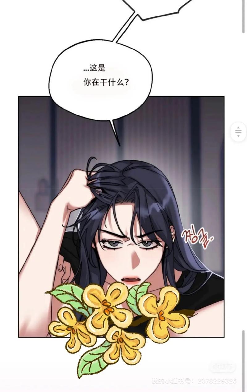 弱点全集免费阅读漫画