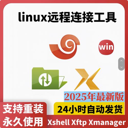 中国x站安装包