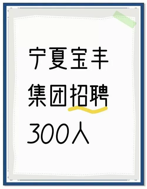 宁夏宝丰能源集团招聘岗位