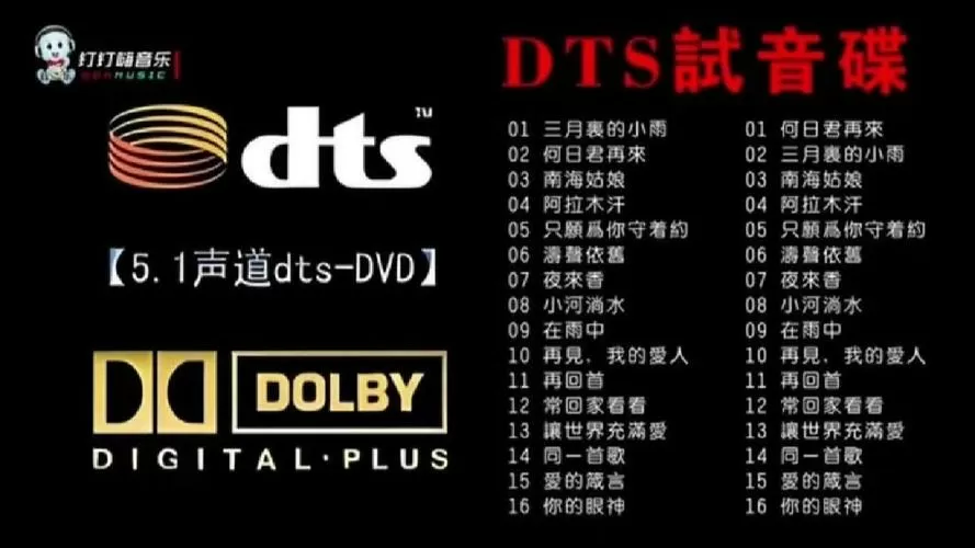dts和5.1声道有什么区别