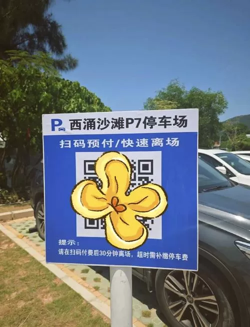无人停车场怎么支付
