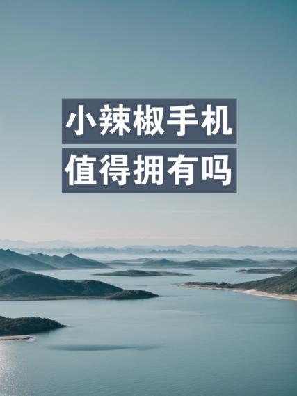 小辣椒手机怎么开启无障碍模式