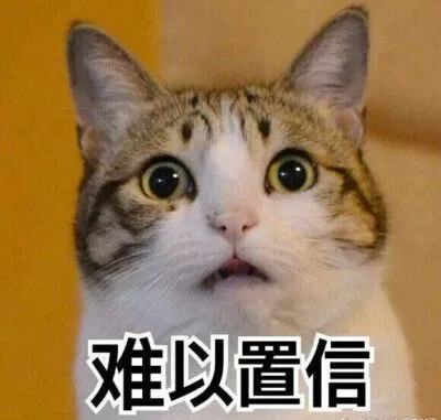 难以置信表情包