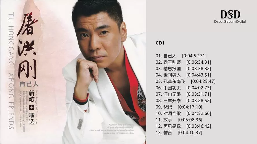 屠洪刚的经典歌曲