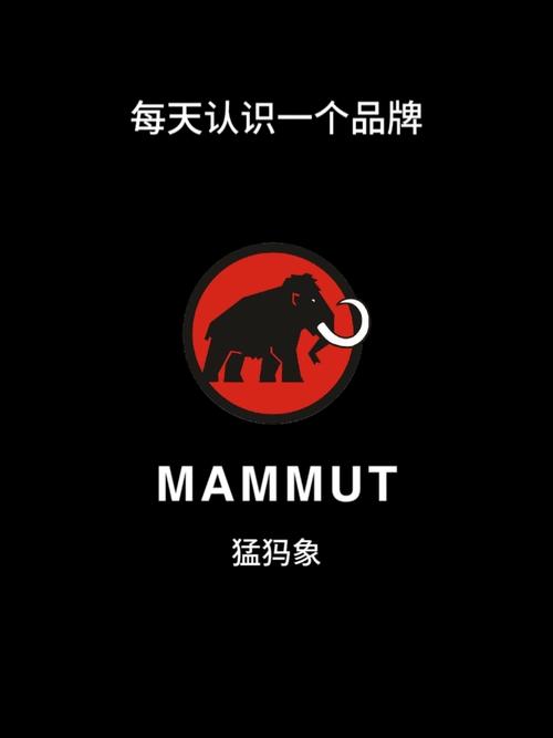 猛犸框架辅助器2023