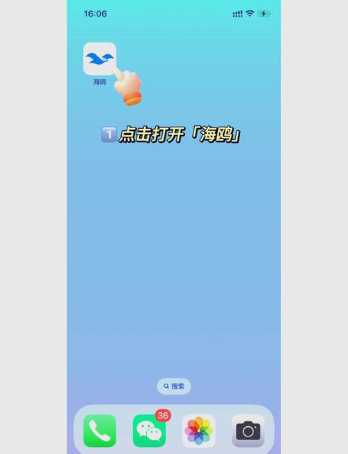 海鸥加速官方正版安装苹果手机
