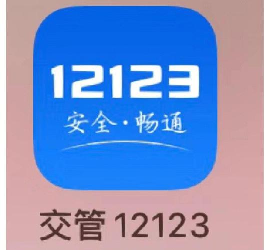 山东交管12123官网