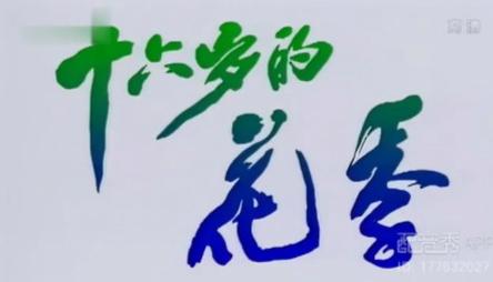 16岁的花季清晰版花季