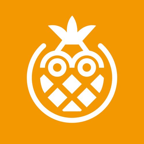 菠萝宝贝