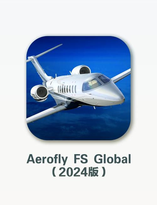 简单飞机内置客机MOD模组版截图