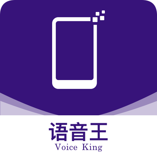 语音王来电播报