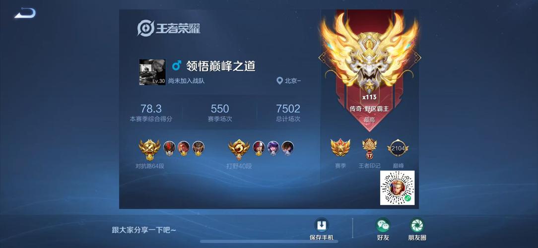 王者荣耀战绩强制查看软件精产国品免费老版