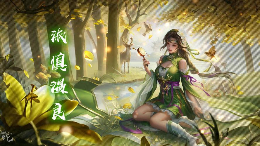三国杀孙茹去布料无广告正版