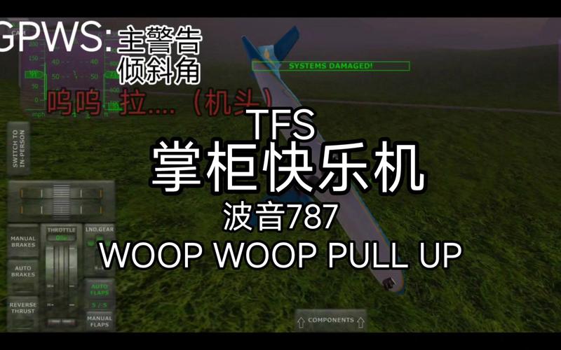 TFS波音警报mod最新版安装经典版无广告