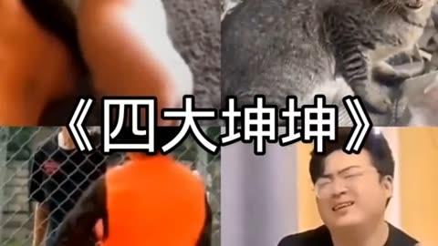 王者男英雄大坤吧图片