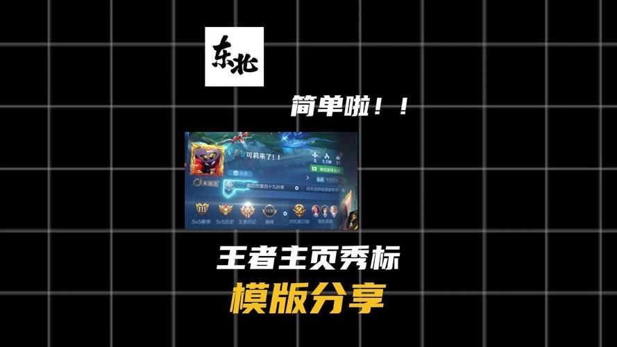 王者主页资料修改器