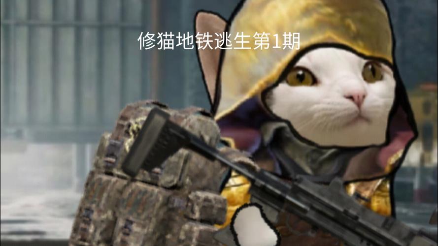 喵喵地铁逃生无限金币版