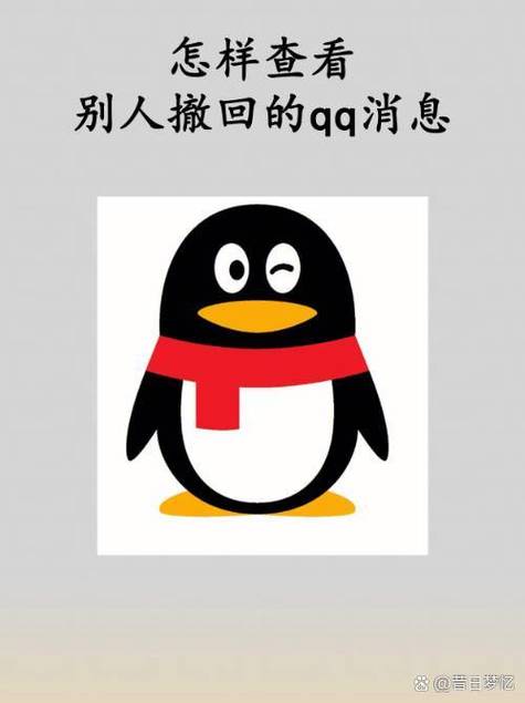 QQ防撤回破解版