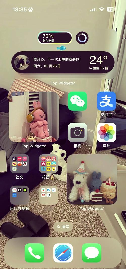 成语赚钱红包版topwidgets小组件