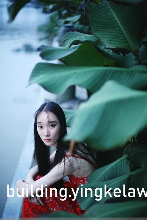 木叶培训师汉化版破解