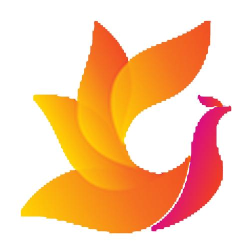 影视工场官方最新版安装