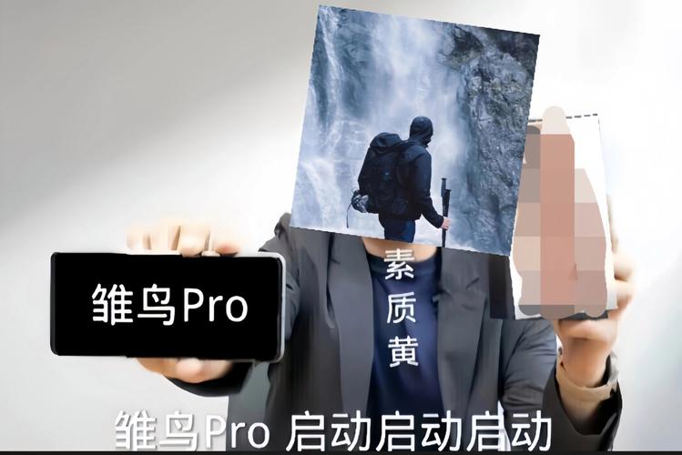雏鸟pro2最新版安装包特色绿色版截图