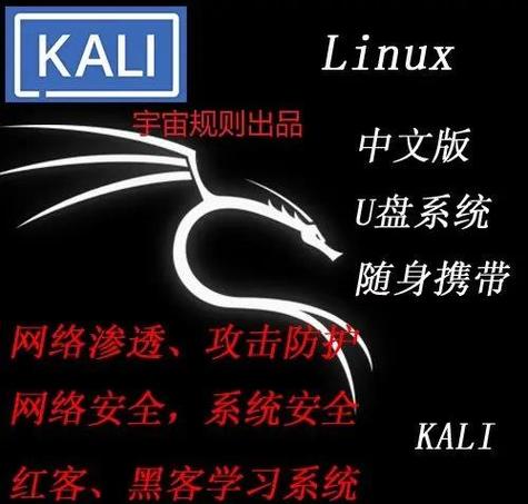 kalilinux安装视频看书版