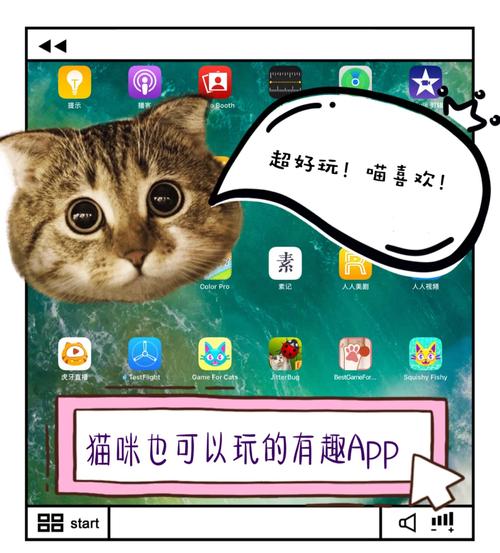 猫咪游戏助手官网精产国品免费老版
