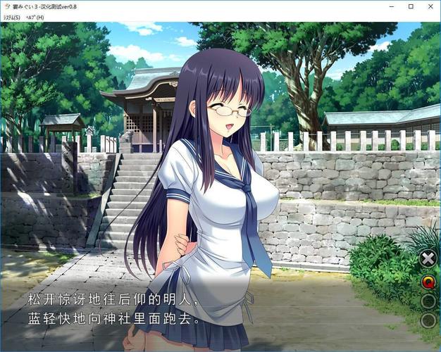 妻中蜜3汉化版游戏安卓版经典版