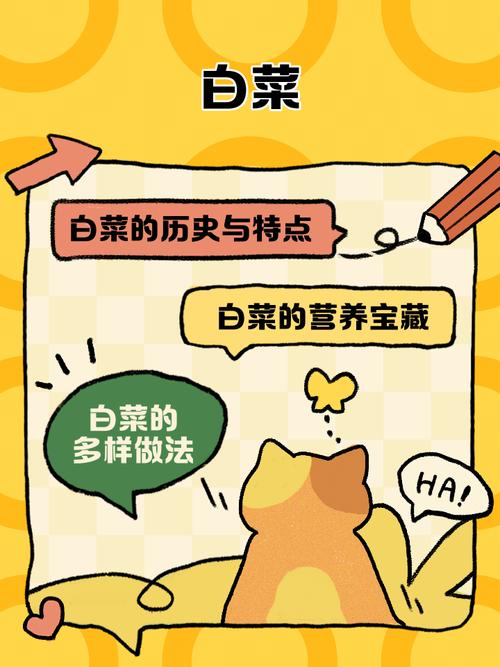 白菜阅读理解及答案
