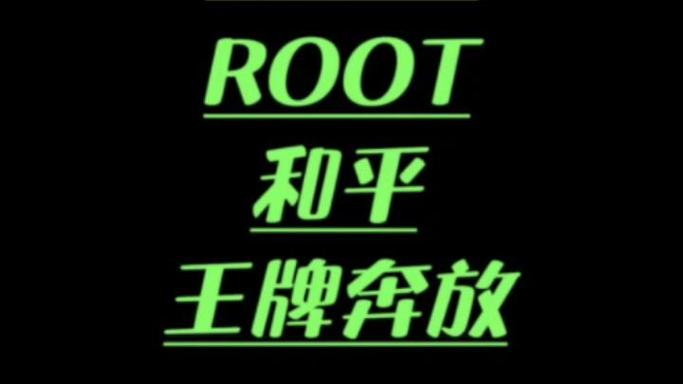 和平精英直装免root黑色版免墙版