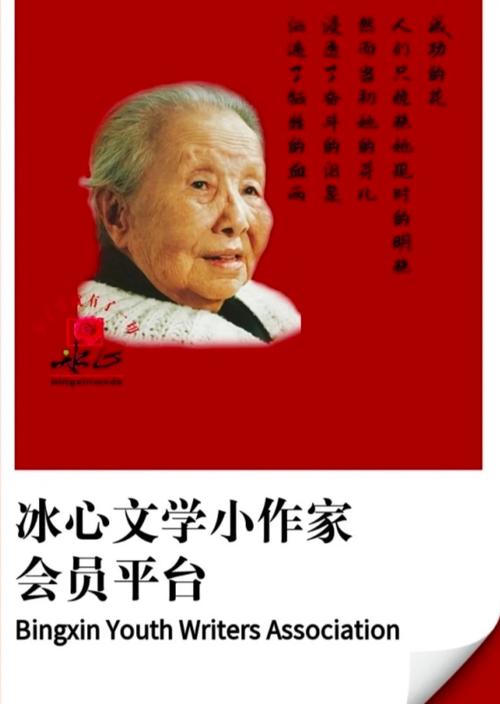 冰心框架