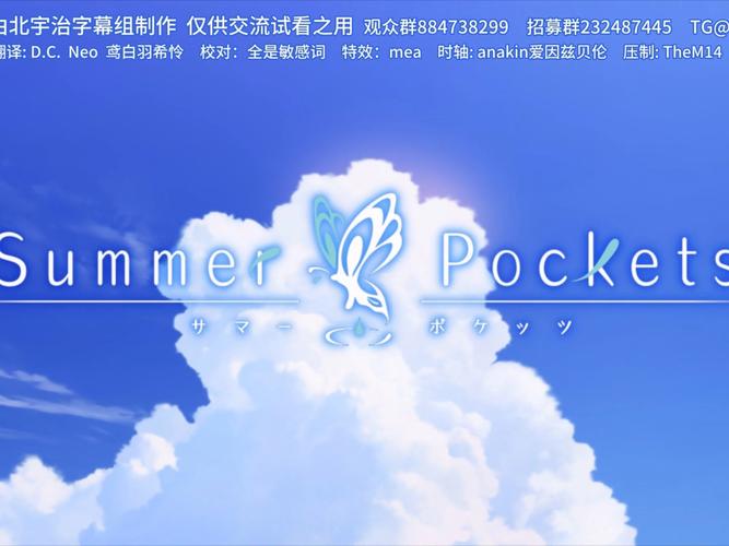 夏日口袋安卓汉化版