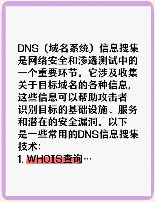 百度dns最新版本更新内容汇总