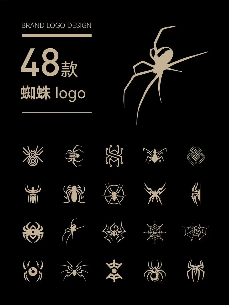 蜘蛛游戏