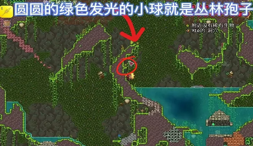 泰拉瑞亚丛林草种子怎么种植