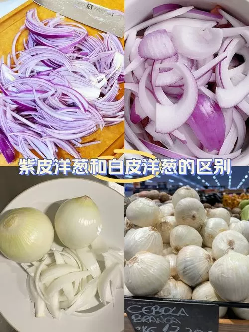 白洋葱和紫洋葱的营养区别