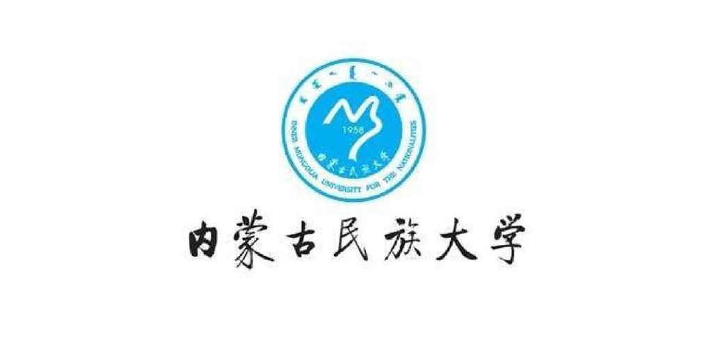 内蒙古民族大学vnp教务系统游戏截图